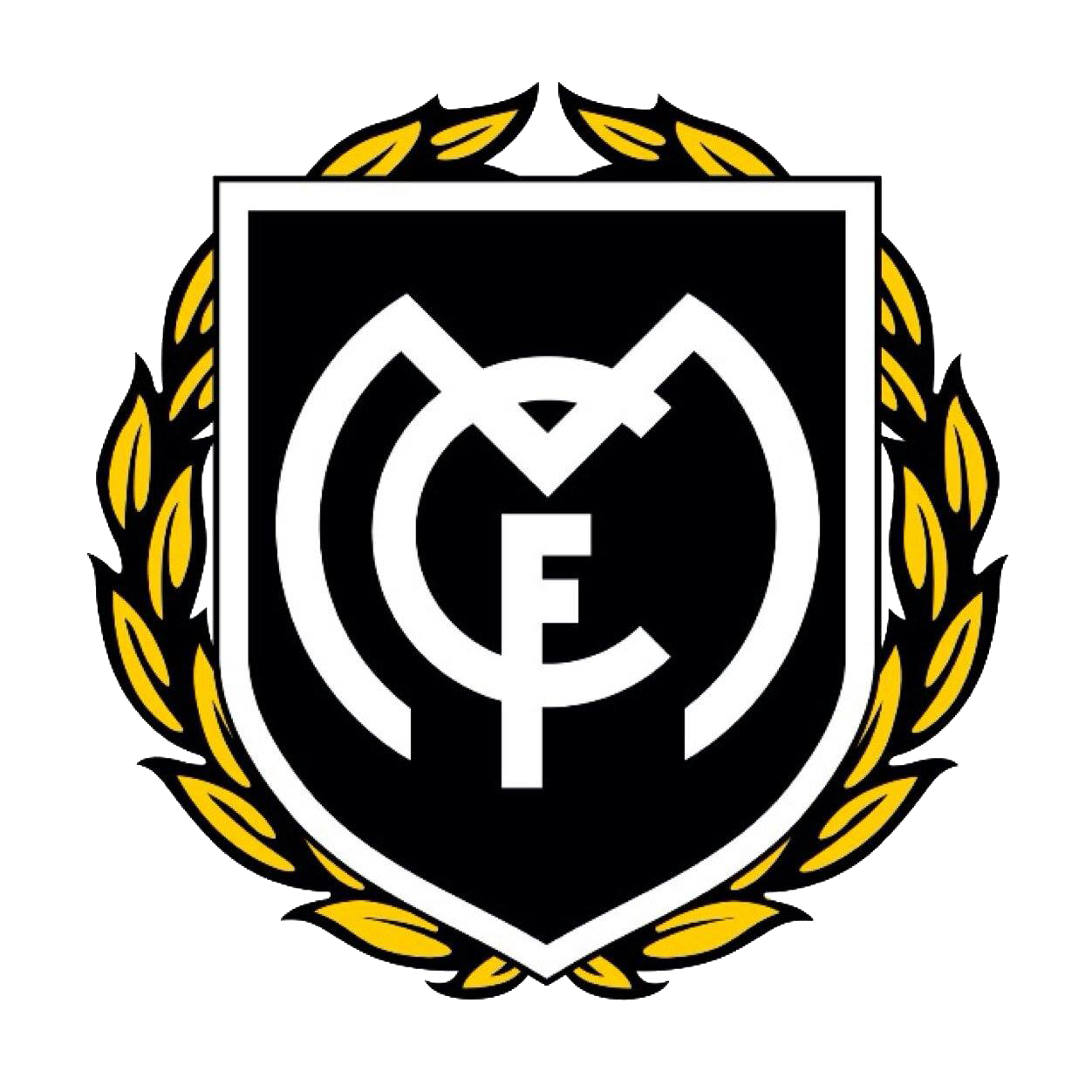ULTRAS SUR